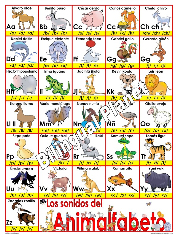 ABC Sonidos Animalfabeto Poster in Spanish - Bilingual Planet
